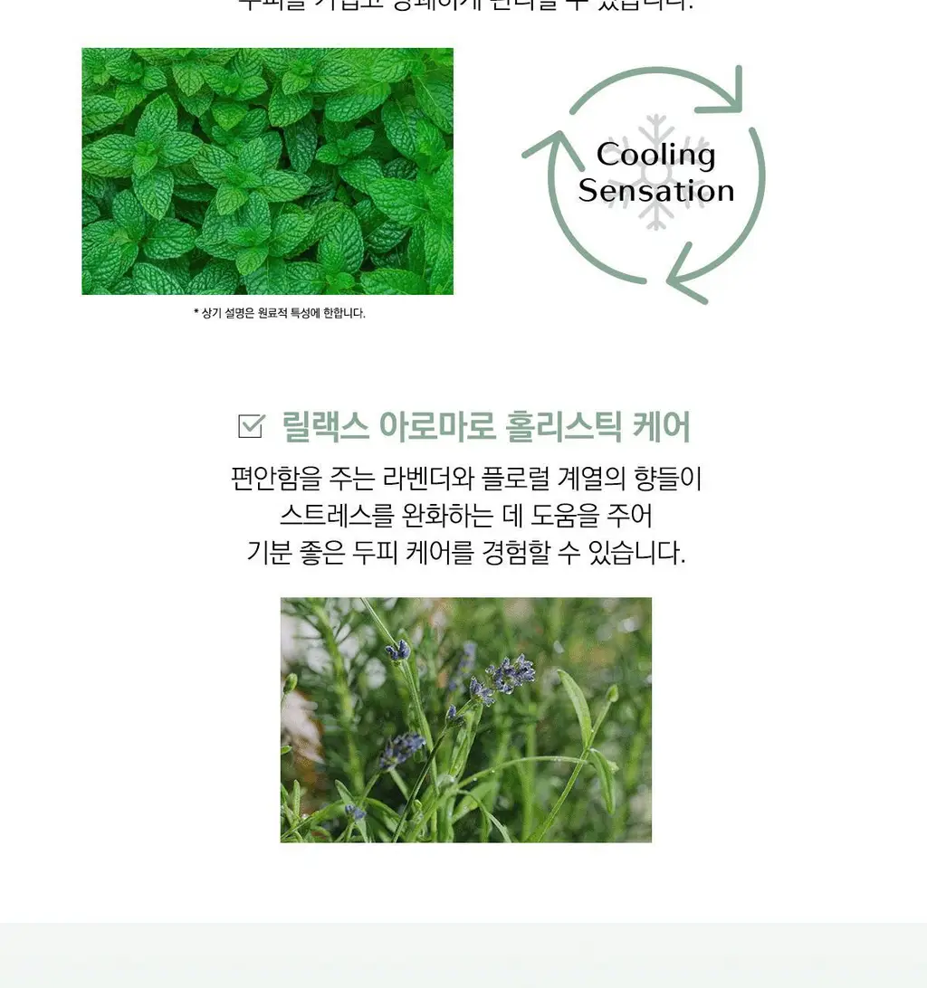 [두피케어] 시세이도 프로페셔널 서브리믹 휀테 포르테 두피 에센스 2종 택1 상세페이지 26